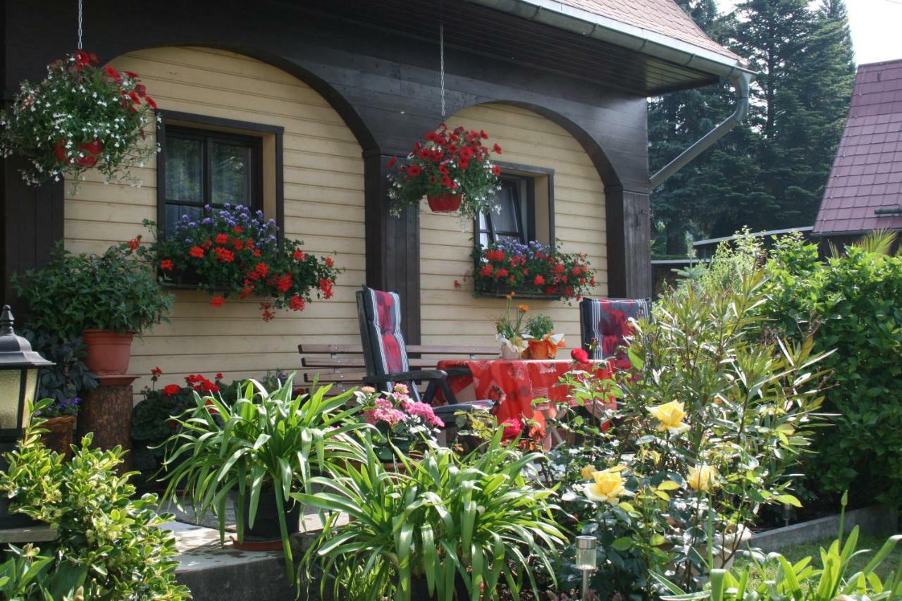 Ferienwohnung Hesse am Wachberg  Saupsdorf Exterior foto